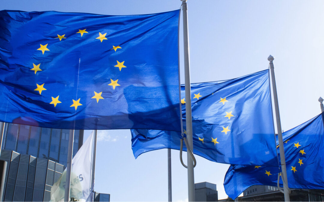 EU schreibt Nachhaltigkeitsberichterstattung für große Unternehmen vor: Mehr Transparenz und Verantwortlichkeit